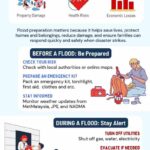 (Latest) Assignment 1 Infographic_Nurul Ain binti Mohd Rosdi