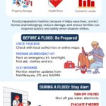Assignment 1 Infographic _ Nurul Ain binti Mohd Rosdi